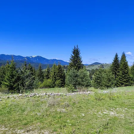 Panorama Belvedere * Stoykite