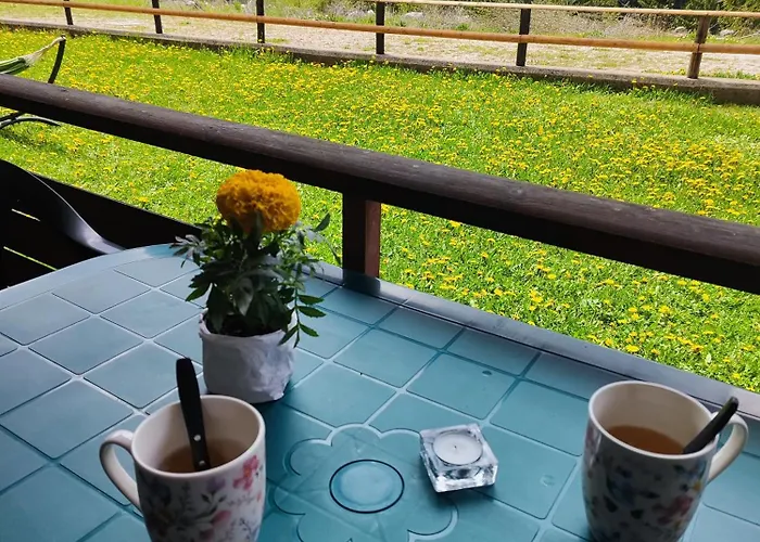 Panorama Belvedere Apartment