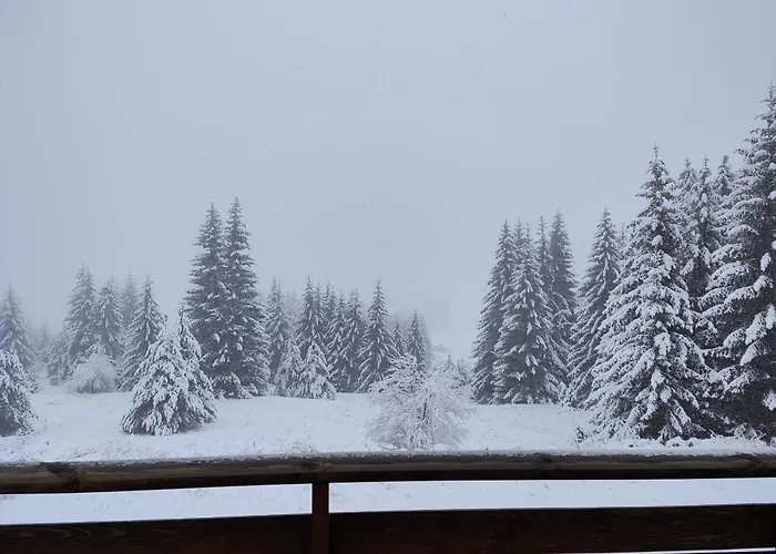 Panorama Belvedere Apartmán *